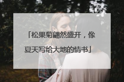 松果菊翩然盛开，像夏天写给大地的情书